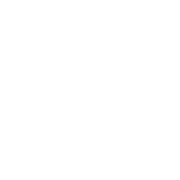 AxeForge